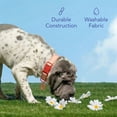 thumbnail image 4 of Oodles Smiley Charm Striped Polyester Fashion Dog Collar, Red, Small, 4 of 9