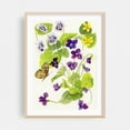 thumbnail image 2 of Wild Violets and Silver Bordered Fritillary Butterfly - Painting Floral Botanical Flowers Nature Wildlife Vintage Unframed Wall Art Print 30 x 45 inches, 2 of 16
