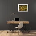 thumbnail image 3 of Geyman, Vitaly 14x11 White Modern Wood Framed Museum Art Print Titled - Nature Softness I, 3 of 4