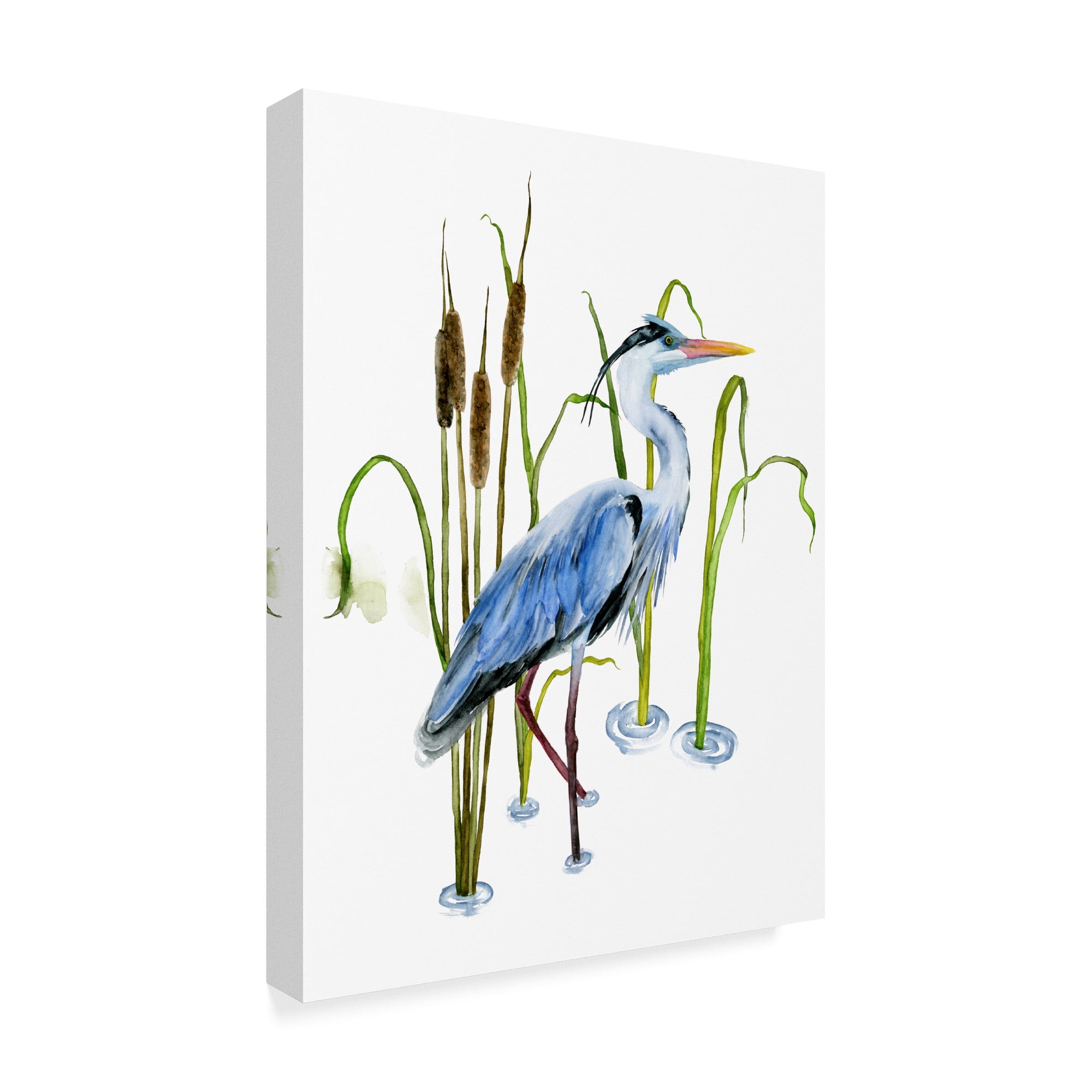 Trademark Fine Art 'At the Pond II' Canvas Art by Melissa Wang