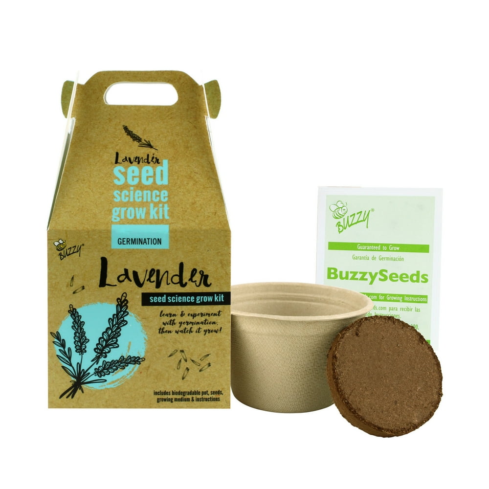 BUZZY Seed Science Flower Plant Growing Kit