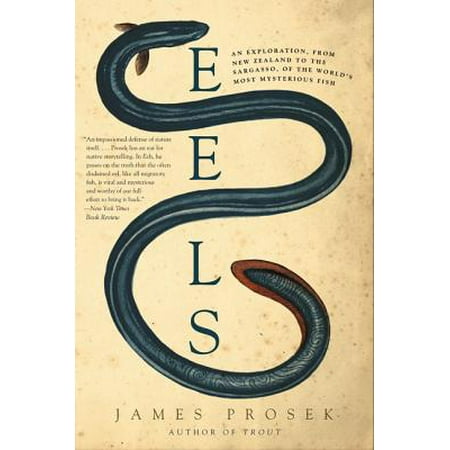 Eels An Exploration From New Zealand To The Sargasso