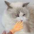 thumbnail image 4 of Gatito divertido dedo mano mascota Teaser varilla gato interactivo jugando varita juguetes Ndcxsfigh Nuevos Originales, 4 of 8