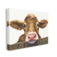 thumbnail image 4 of Stupell Industries Cow Resting on Fence Animals & Insects Painting Gallery Wrapped Canvas Art Print Wall Art, 30 x 24, 4 of 8