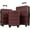 Red, variant on 3 PCS Luggage Set, Hardshell Suitcase Bags Set of 3 with TSA Lock, Lightweight Portable Carry on Luggage with Spinner Wheels for Travel/on Business, 20"/24"/28", Silver, L0211