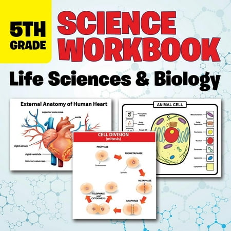 5th Grade Science Workbook: Life Sciences & Biology (Best Science Fair Projects For 5th Grade)