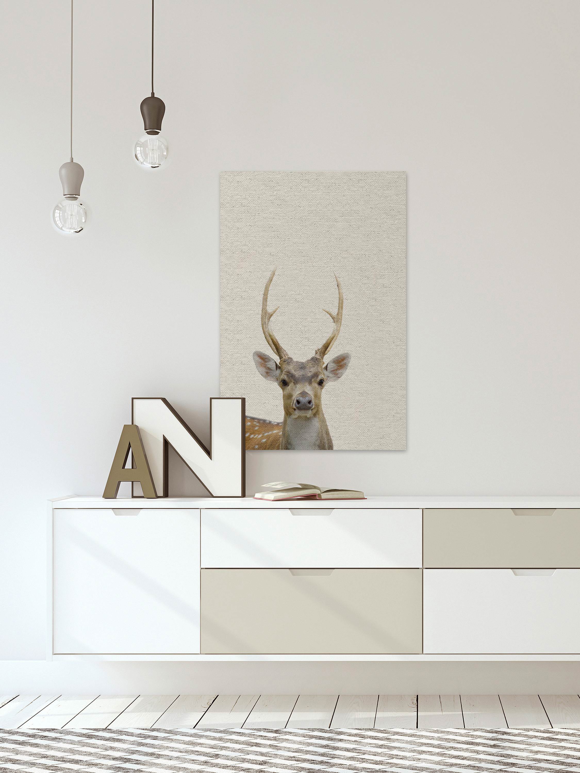 Little Antler Painting Print on Wrapped Canvas