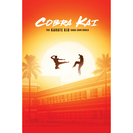 Cobra Kai Saga Continues Poster