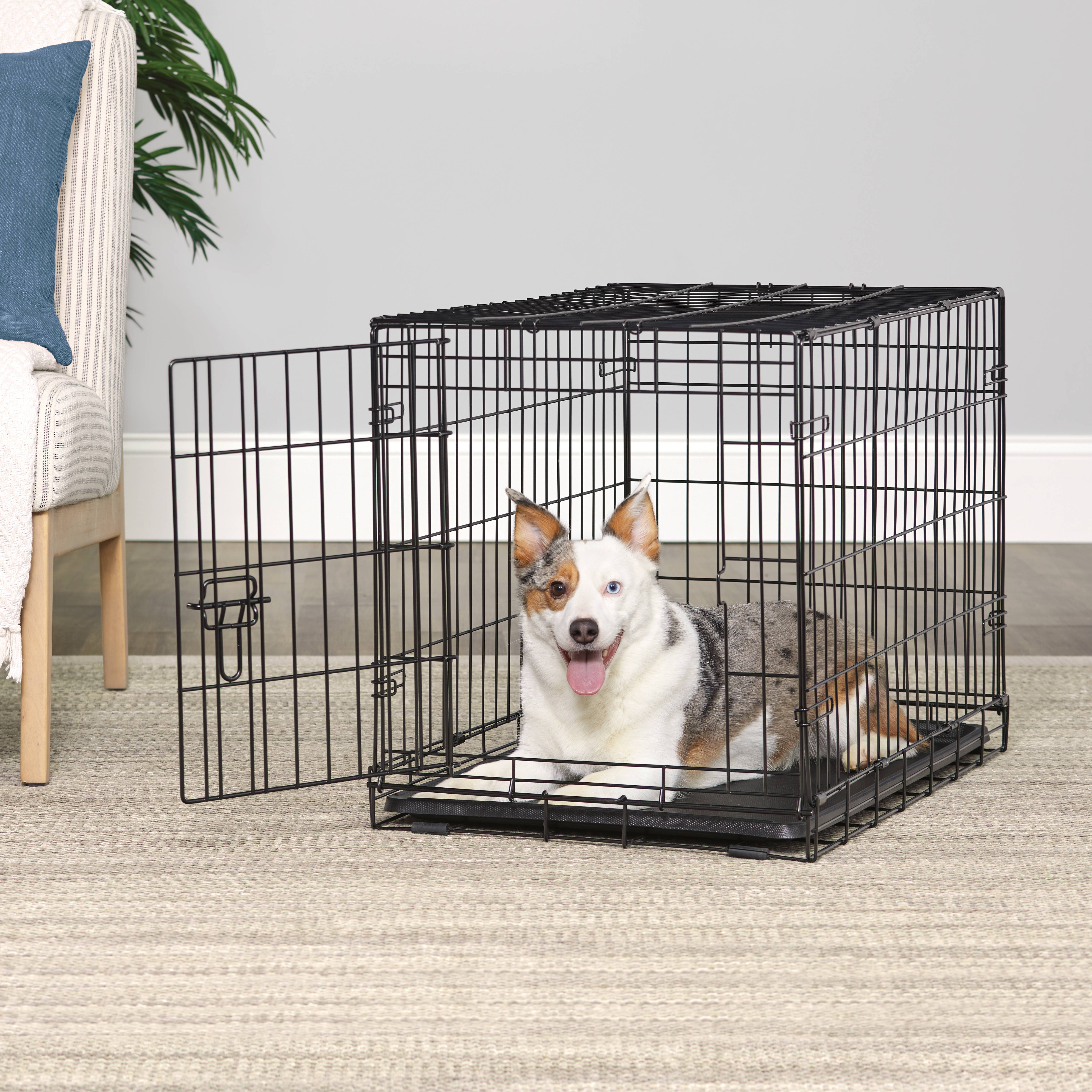 Free Shipping! Vibrant Life Single Door Folding Metal Wire Dog Crate ...