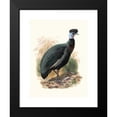 thumbnail image 2 of Joseph Smit 14x18 Black Modern Framed Museum Art Print Titled - Numida Verreauxii. (1872), 2 of 5