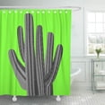 thumbnail image 1 of SUTTOM Botany Cacti Grey Prickly Tree Needles Cactus Tiles Beautiful Shower Curtain 66x72 inch, 1 of 1