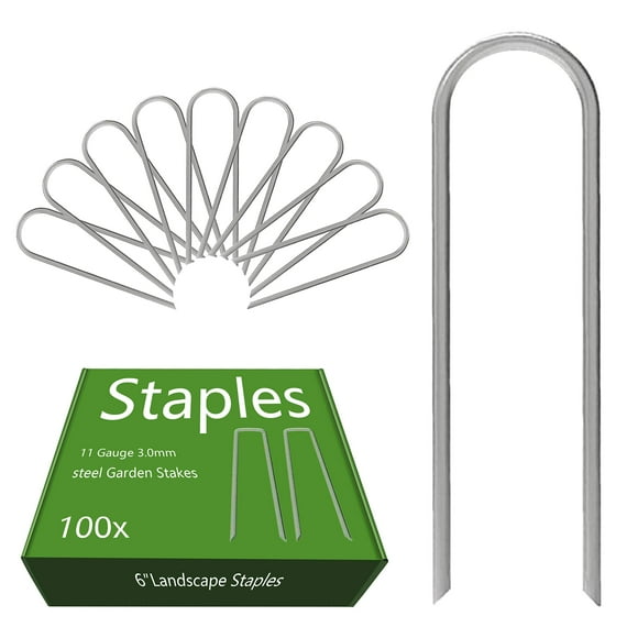 AAGUT Garden Staples 6 Inch Galvanized 100 Pack Round-Top Drip Hose Stakes Irrigation Hooks Heavy Duty 11 Gauge Lawn U Pins Sod Nails for Landscape Fabric, Soaker Hose, C
