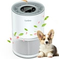 thumbnail image 1 of Purificador de aire LUNINO H13 True HEPA para habitaciones grandes de 1200 pies cuadrados, 1 of 8