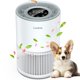 thumbnail image 1 of Purificador de aire LUNINO H13 True HEPA para habitaciones grandes de 1200 pies cuadrados, 1 of 8
