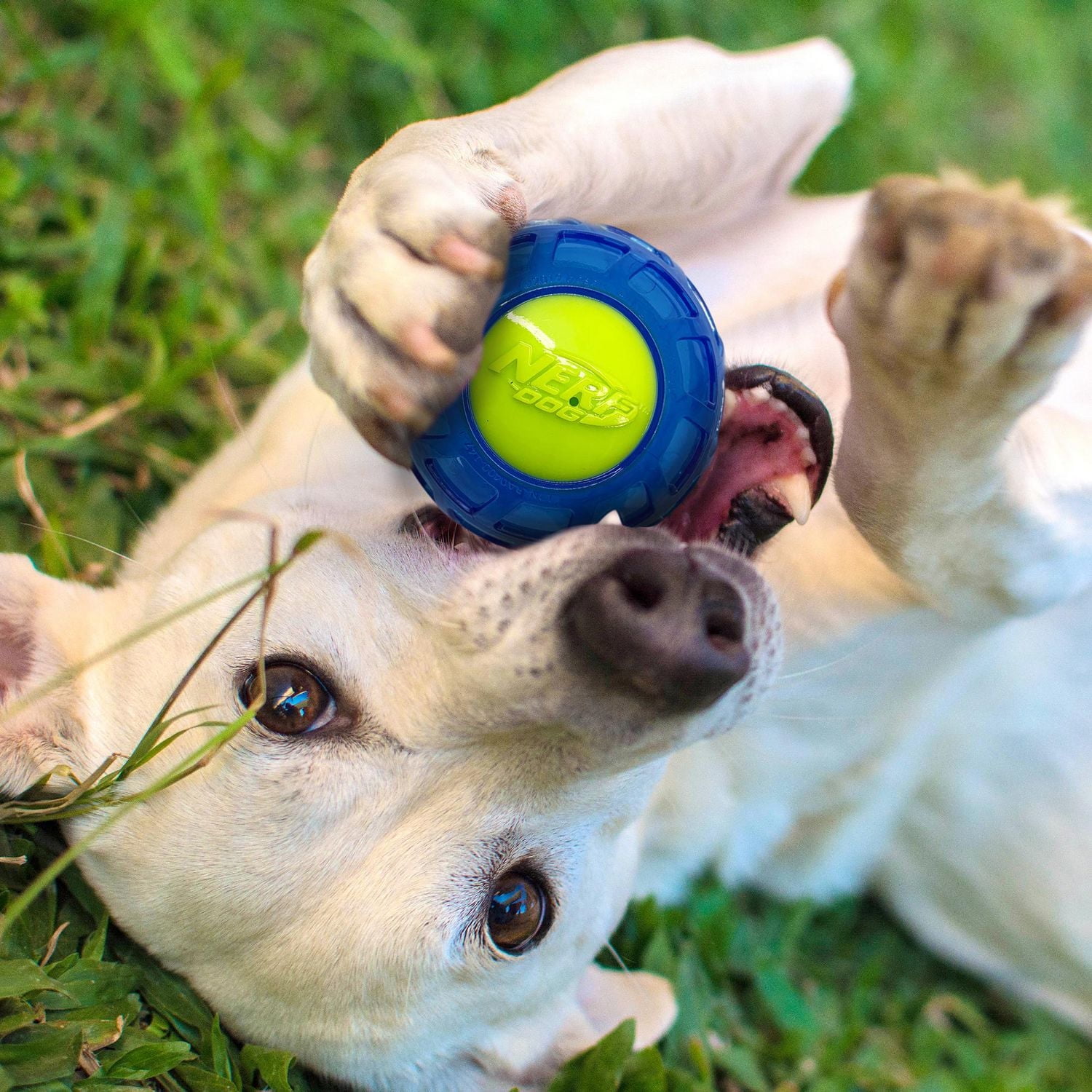 NERF Dog TPR EXO LED Ball Dog Chew Toy Blue 4in, 4in / 10cm