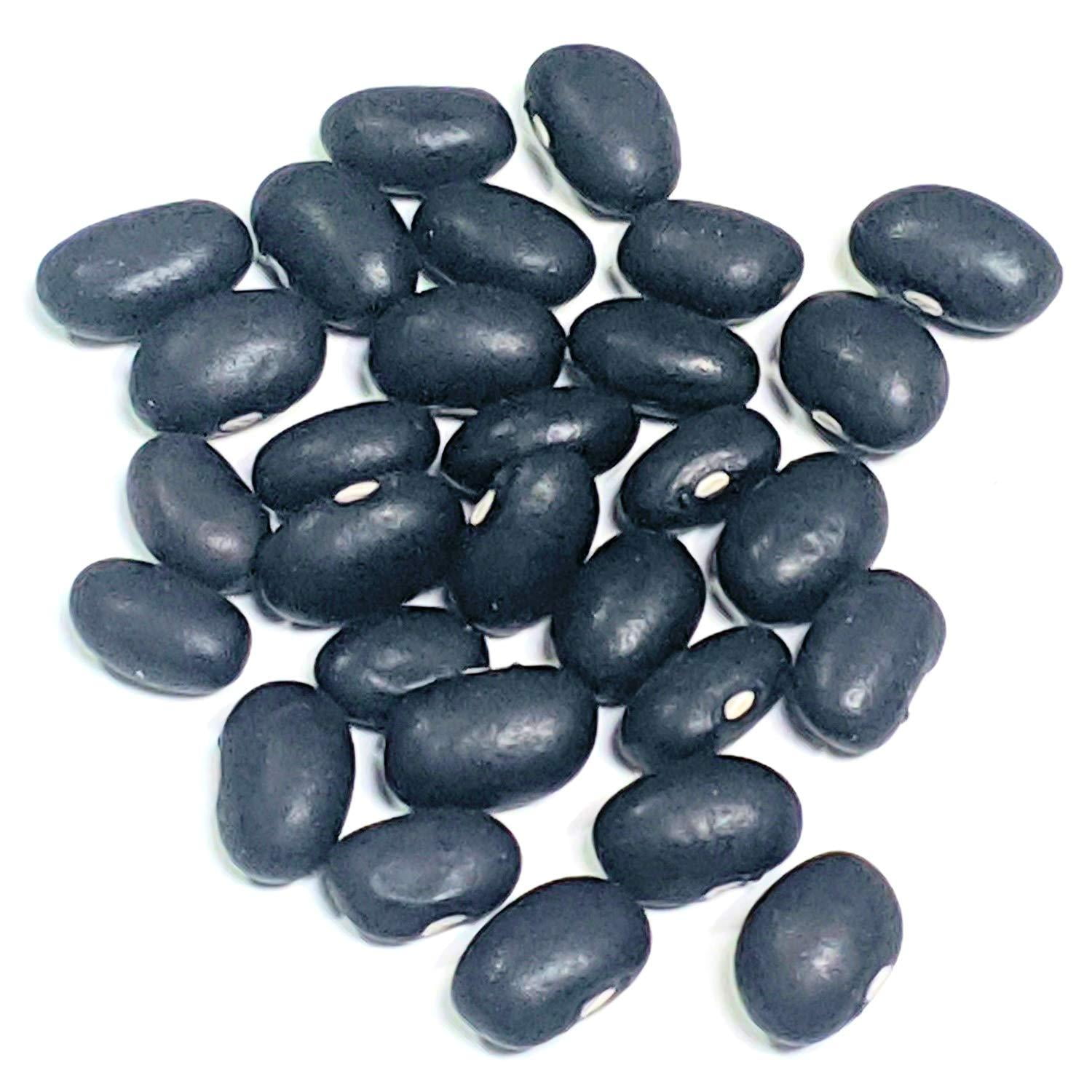 FOTS Bulk Black Beans (16 Pounds) USA Grown, 100 Natural, Triple