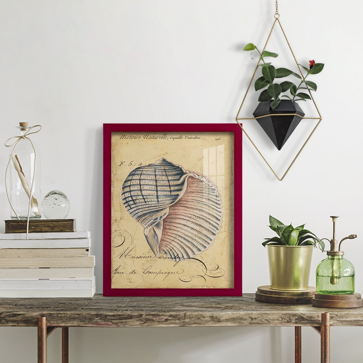 Seashell Ephemera V - Framed Print w/glass - Cherry Red