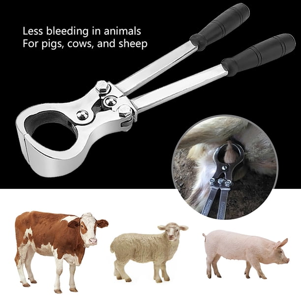 Alicate De Castración Para Ganado Y Ovejas - Acero Inoxidable, Incluye Anillos, Herramienta Veterinaria Práctica
