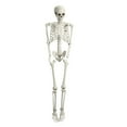 thumbnail image 3 of Grandest Birch 5.4FT Skeleton Bones and Skull for Halloween Decor or Spooky Graveyard Ground Decoration Party Supplies,Halloween Yard Skeleton Decorations For Outdoors, 3 of 11