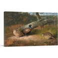 thumbnail image 1 of ARTCANVAS Fallen Beech A Cock And Three Hen Pheasants With Wasp Canvas Art Print by Archibald Thorburn - Size: 26" x 18" (1.50" Deep), 1 of 9