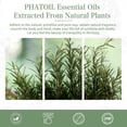 thumbnail image 6 of PHATOIL Rosemary Essential Oils for Diffusers Humidifier 100% Pure Natural Aromatherapy Massage Bath Sleep Relaxation 30ml/1.01 fl.Oz, 6 of 7