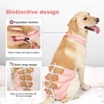 thumbnail image 4 of HQREA Breathable Dog Recovery Suit Female Male Dog Post-Operative Clothing for Neuter After Surgery Pet Protective Gown for Medium Large Dogs, 4 of 6