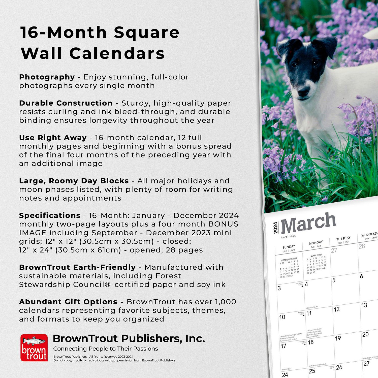 BrownTrout Fox Terriers 2024 12x24 Inch Square Wall Calendar, 9781975467906