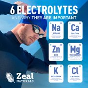 Zealot Electrolyte Powder - 90 Servings | Keto Electrolytes | Zero Sugar | Blue Raspberry