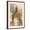 Brown Frame, variant on Art.com Chinese Golden Pheasant Art Print, 12" x 18"