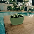 thumbnail image 4 of Ecobo 9.1 inches wide Eco-Friendly Oval Planter Box, Garoa Indoor/Outdoor use, Durable & Versatile, Designed by Brazilian Artisans, Contemporary All-Weather Design – Green, 4 of 5