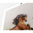 thumbnail image 4 of Wild Stallions - Kit de Peinture Diamant Premium, 4 of 5