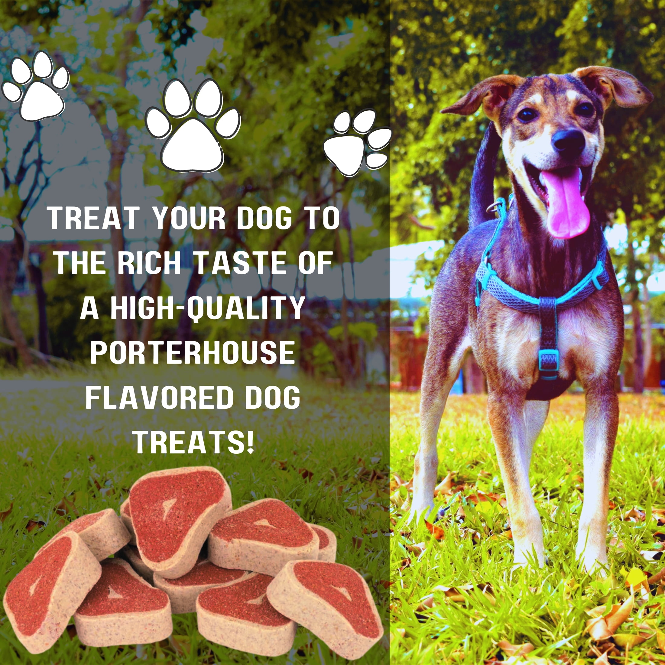 Porterhouse Flavor Dog Treats, 4.5oz (Pack of 4) Made with Real Meat Delicious Nutritious Snacks for Dogs Training Reward and Everyday Treat Food
