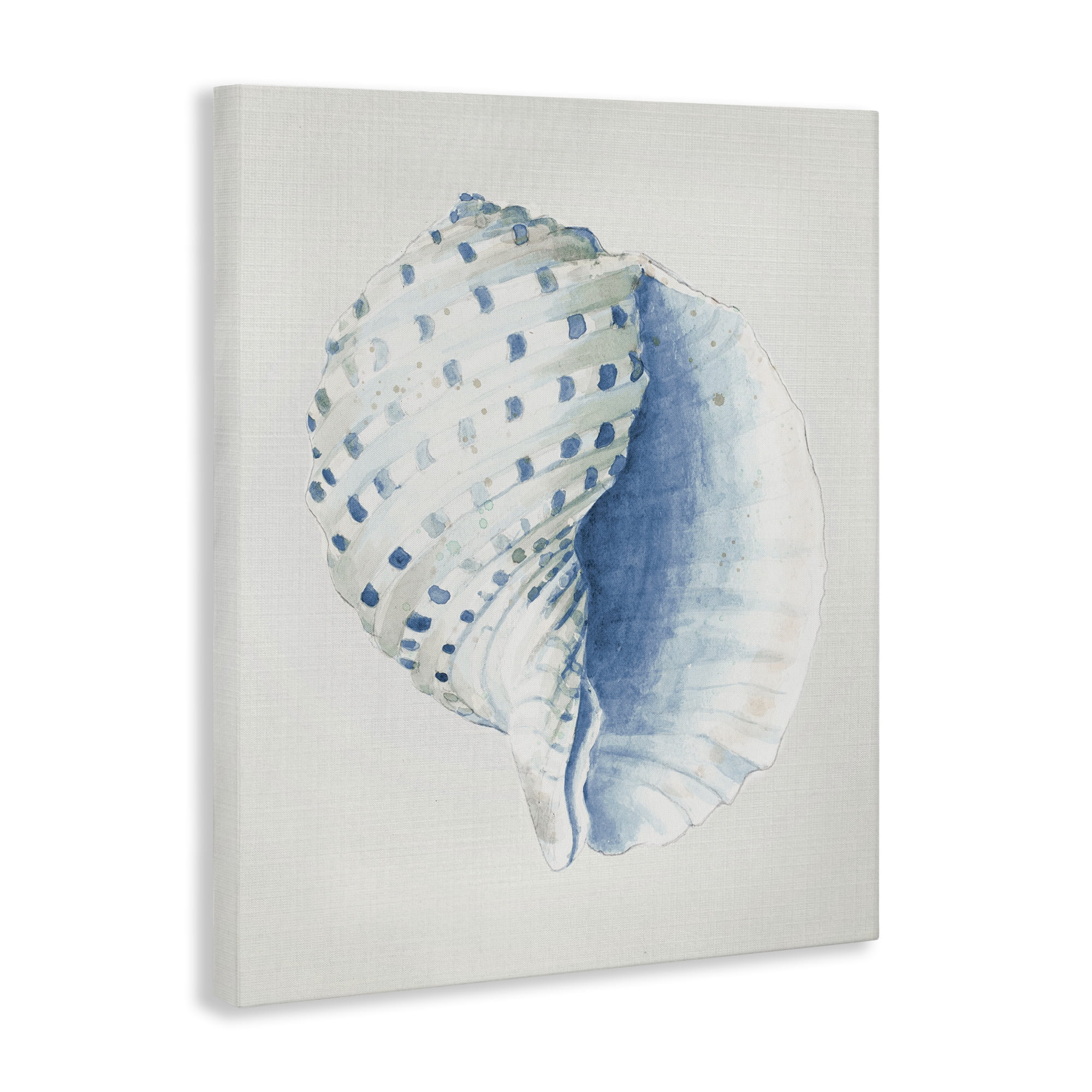 Stupell Industries Spotted Conch Shell Animals & Insects Painting Gallery Wrapped Canvas Art Print Wall Art, 30 x 40