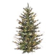 thumbnail image 1 of NorthLight 2 ft.  Pre-Lit Mixed Country Pine Artificial Wall Or Door Christmas Tree - Clear, 1 of 1