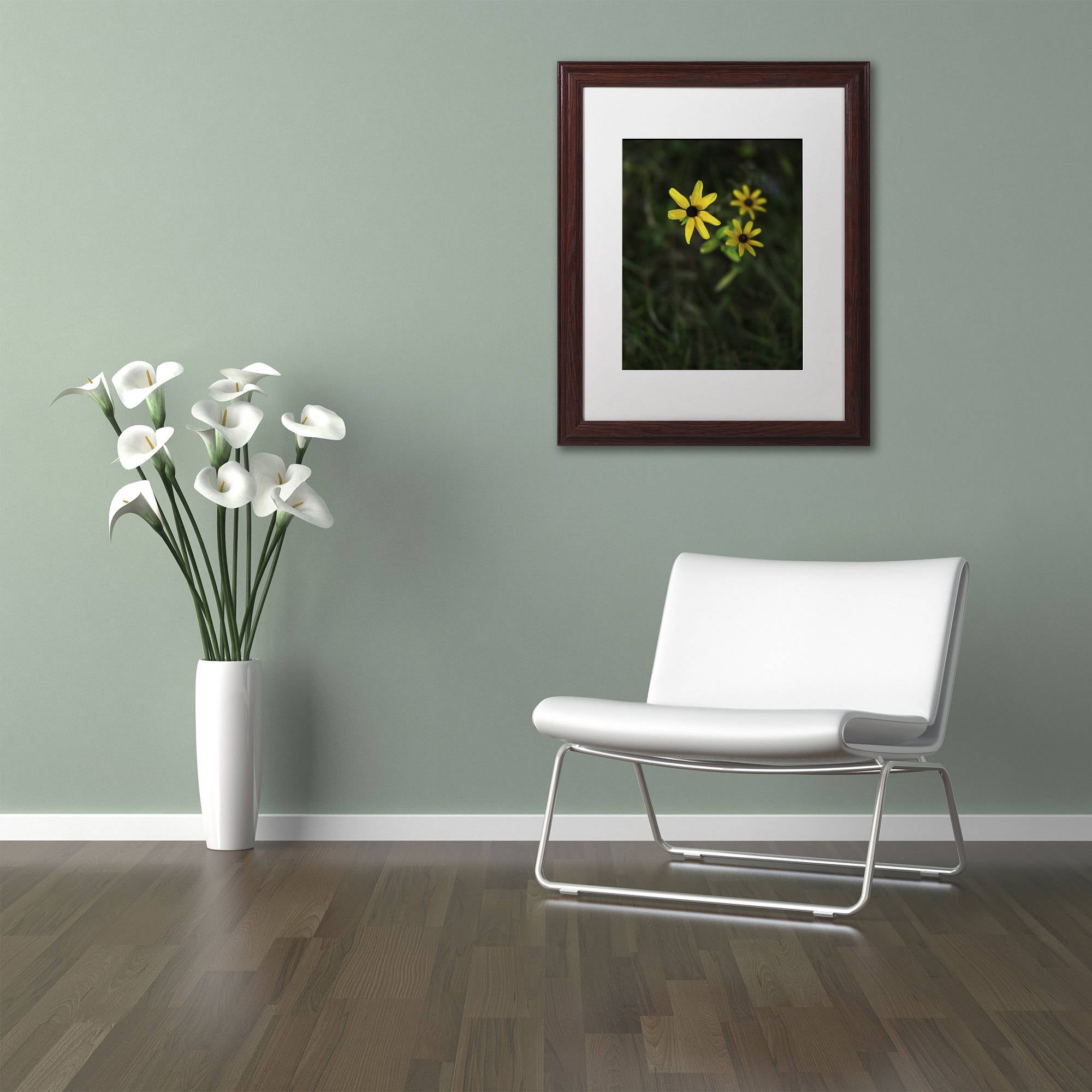 Trademark Fine Art "Brown-Eyed Susan" Canvas Art by Kurt Shaffer, White Matte, Wood Frame
