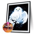 thumbnail image 2 of 5D DIY Diamond Painting Kits Full Square Drill Hedwig mosaico cuadro decoración de la pared FLhrweasw Nuevo, 2 of 9