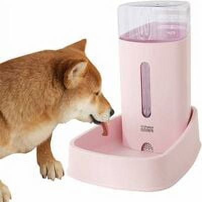Dispensador automático de comida para gatos, comedero para gatos, comedero para perros y bebederos.