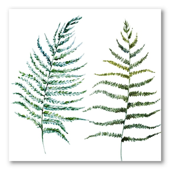 Designart ' Two Fern Leaves On White ' Farmhouse Canvas Wall Art Print
