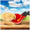 thumbnail image 5 of PCS en Bebedero para Pollo, Tazas Automáticas Pollo Automático Agua de Acero Inoxidable Pezones Laterales Horizontales Pollo Aves de Corral Bebedero para Conejo Bebedero Pezón Tornillo Tazón de Agua, 5 of 5