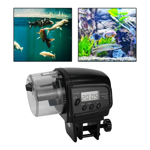 Alimentador automático eléctrico a batería a prueba de humedad Acuario Tortuga Koi Alimentación temporizada 12/24 Colco Alimentador de acuario