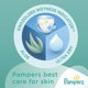 thumbnail image 2 of Pañales Pampers Swaddlers Recién Nacido >4,5 kg 80 unidades, 2 of 6