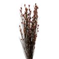 thumbnail image 2 of Vickerman 36-40" Long Stem Bell Grass with Merlot Colored Seed Pods, 2 per pack, Preserved, 2 of 5