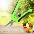 thumbnail image 3 of Garden Pruning Shears Stainless Steel Pruner Fruit Picking Secateurs Potted Weed Pruning Scissors Straight Elbow Pruning Tools straight head, 3 of 6