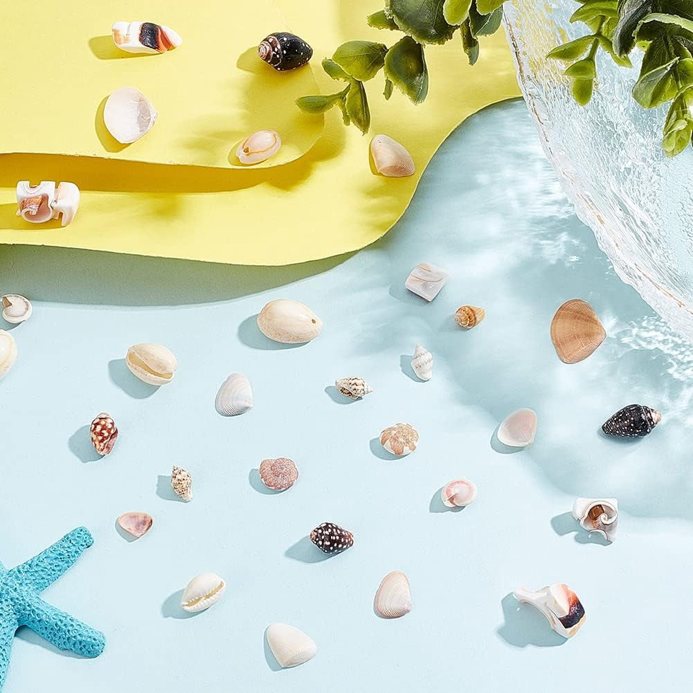 370pcs Natural Spiral Shell Beads 5-16mm 6 Styles Small Seashells Ocean Spiral Seashells