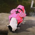 thumbnail image 2 of Perro con rayas reflectantes jinwen Chaqueta para Perro Ajustable Chaleco salvavidas para perros S, 2 of 7