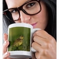 thumbnail image 2 of 3drose, Eastern Meadowlark Bird, Rio Grande Valley, Texas - Na02 Rnu0554 - Rolf Nussbaumer, 11oz Magic Transforming Mug, 2 of 7