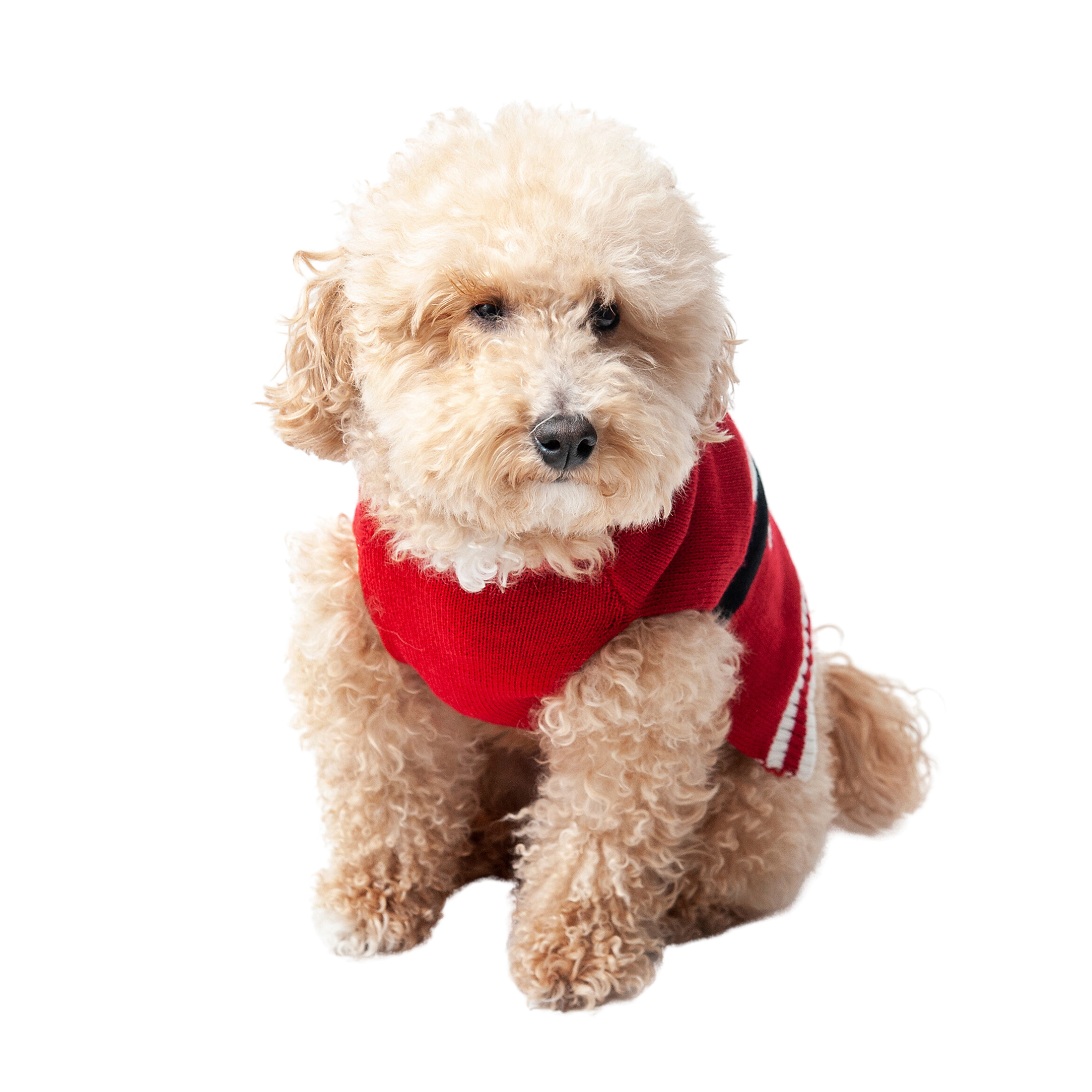 Vibrant Life Holiday Dog Clothes Red Santa with Hoodie Sweater, Large