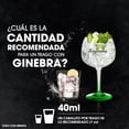 thumbnail image 4 of Ginebra Tanqueray Rangpur Lime Cítrica 750 ml, 4 of 4