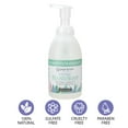 thumbnail image 4 of Ginger Lily Farms Botanicals All-Purpose Foaming Hand Soap Refill, 100% Vegan & Cruelty-Free, Eucalyptus Tranquility Scent, 20 Fl Oz (Pack of 1), 4 of 6