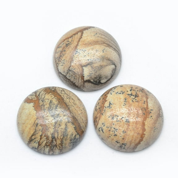 10pc Natural Picture Jasper Cabochons Flat Round 24.5~25x4~7mm